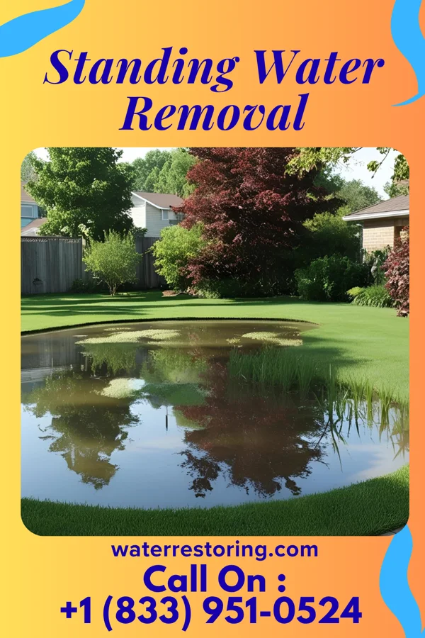 Standing Water Removal in Ozark Acres, AR